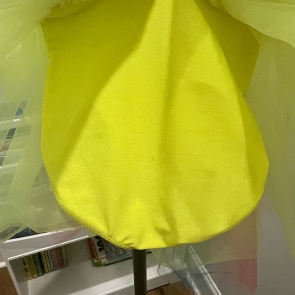 Dance Costume - Picture 4 of 12